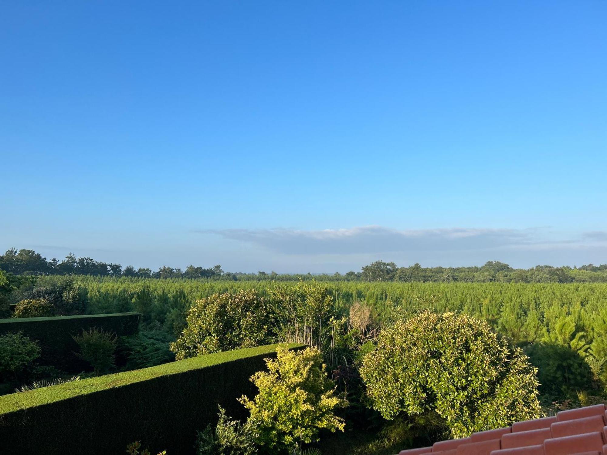 Jolie Maison De Vacances Avec Terrasse Et Jardin Saint-Julien-en-Born Exterior photo